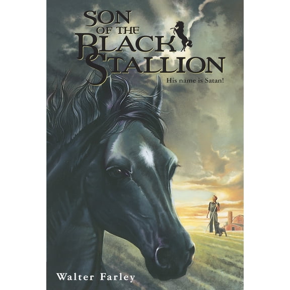 Pre-Owned Son of the Black Stallion (Paperback) 0679813454 9780679813453