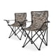 thumbnail image 1 of Sillas de Camping y playa Duralife 2 Piezas Gris arena, 1 of 7