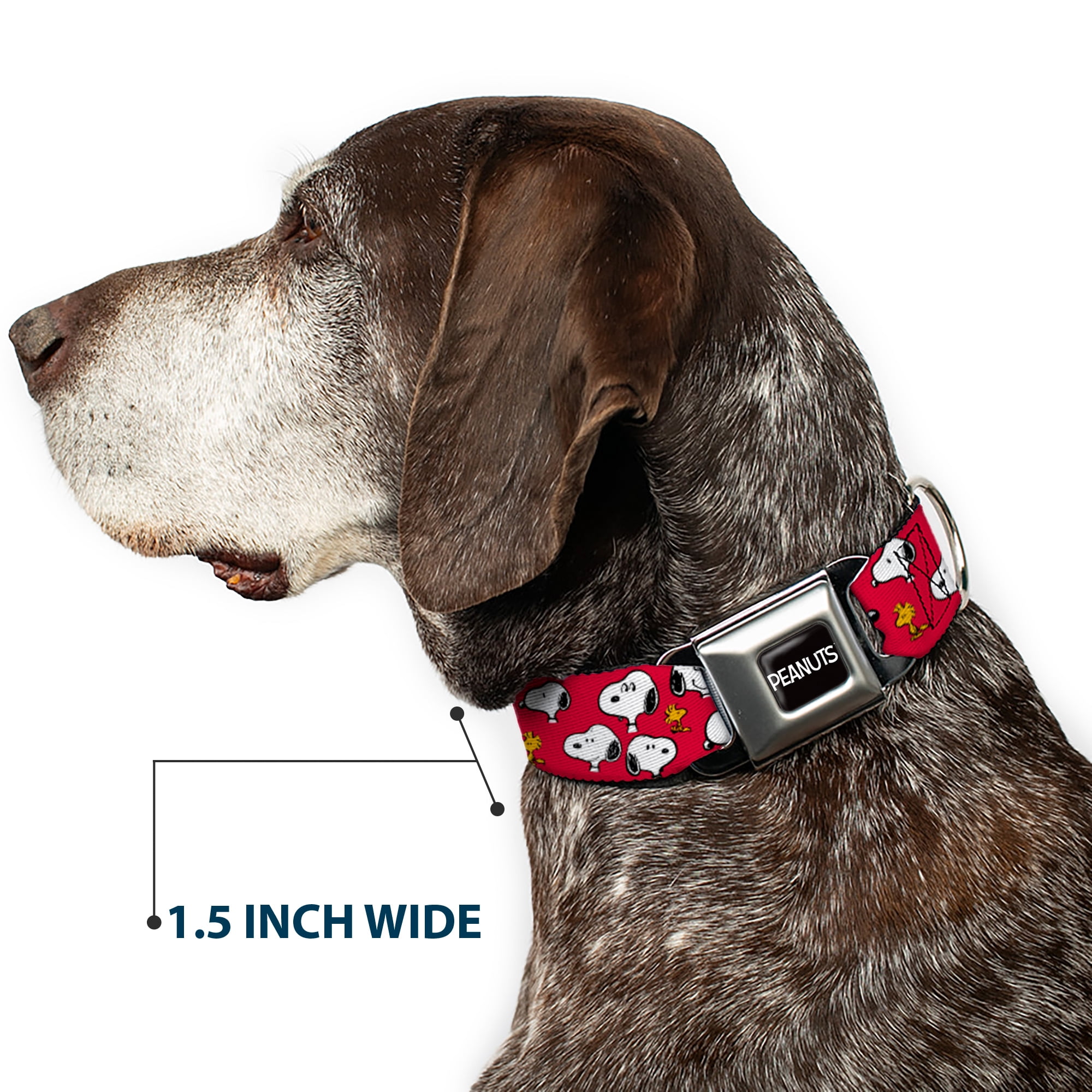 Peanuts Worldwide LLC Pet Collar, Dog Collar Metal Seatbelt Buckle, Peanuts Snoopy and Woodstock Poses Scattered Red, 9.5 to 13 Inches 1.0 Inch Wide