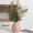 Pink Vase, variant on Zephyrn 14-Inch Indoor Artificial Olive Plant, in Ceramic Vase, Easy-to-Care Green Plant, Suitable for Coffee Tables, Bookshelves, Offices or Dormitories