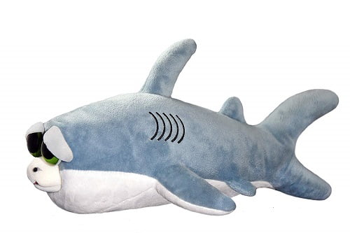 shark feisty pet