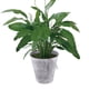 thumbnail image 3 of Maceta grande rústica de metal para flores, maceta redonda de hierro para jardín, para uso exterior, contenedor floral decorativo duradero para césped, patio y balcón., 3 of 5