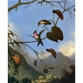 thumbnail image 2 of Heade, Martin Johnson 15x17 White Modern Wood Framed Museum Art Print Titled - Amethyst Woodstar, 2 of 4