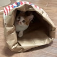 thumbnail image 4 of popcorn shape Cat Tunnel Tube Play Tent Cat Toy Indoor Puppy for Exercising Hiding Training Pet Interactive reliever Supplies, 4 of 6
