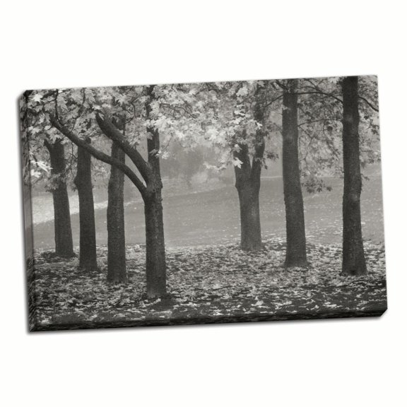 Gango Home Decor Colors in the Mist VII B&W by Vitaly Geyman (Ready to Hang); One 36x24in Hand-Stretched Canvas