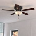 thumbnail image 6 of F0059-Vaxcel-Expo 2-Light Ceiling Fan in Traditional Style 12.5 Inches Tall and 42 Inches Wide, 6 of 7