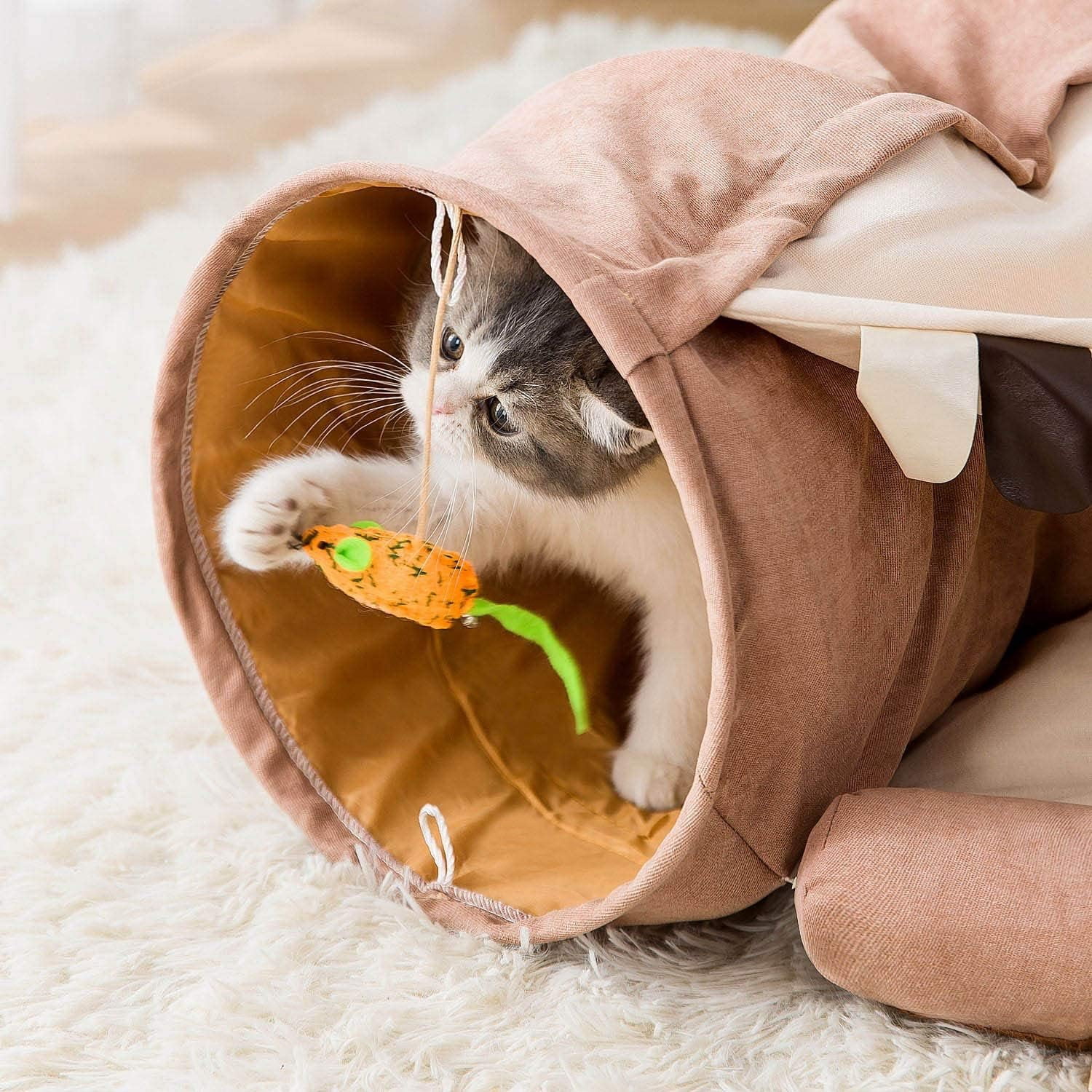 Cat Bed for Indoor, Cat Tube with Collapsible Washable Bed, Cat Tunnel, Premium Toy for Small Medium Large Cat.(Cafe)