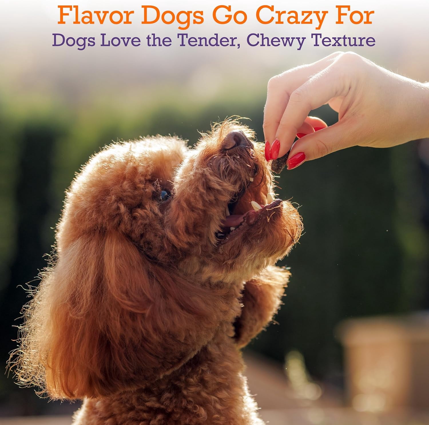 Riley's Rice & Chicken Jerky Dog Treats - Non-GMO, High Protein, All Natural Dog Chews - Training Treats for Small & Large Dogs - Easy to Break into Bite-Sized Pieces - 10oz