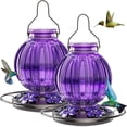 thumbnail image 1 of Kit de 2 Comederos de Cristal para Colibríes Grete Gotye de 770 ml a Prueba de Fugas, 1 of 7