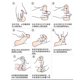 thumbnail image 5 of Fiudx Ofertas de la semana Crema de masaje para agrandar el pene, retrasar el crecimiento, gel de uso externo, 5 of 7