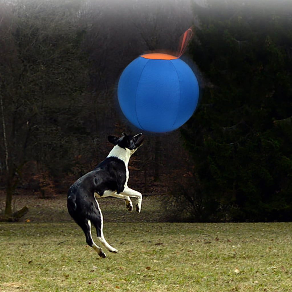 Interactively Dog Exercise Herding Ball Toy Training Wear Resistant Dogs Toy