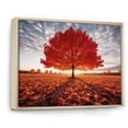 thumbnail image 2 of Designart Tree Maple framed wall art decor, Tree Maple framed wall Art, Light Through Orange Maple Tree Euphony , Extra large Traditional Natural framed wall art, Natural brown color Frame, 2 of 5