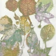 thumbnail image 2 of Carson, Danielle 15x15 Black Ornate Wood Framed with Double Matting Museum Art Print Titled - Multi Colored Nature I, 2 of 4