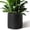 Black 12 Inch, variant on 10 Inch Round Cylinder Plant Pot Modern Indoor Outdoor Planter with Drainage Hole Saucer and Water Reservoir