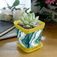 thumbnail image 5 of HemaKayy Decorative Planter Pot Set - Perfect for Small Plants - Colorful Design With Drainage Hole - Ideal for Home and Garden Decor - Set of 8 - Unique Marble Texture, 5 of 6