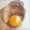 Multicolor, variant on Gel Stress Ball Egg Yolk Design Silicone Protective Case Squeezable Gel Core Portable Fidget Doll Desk Ornament for Home Outdoor