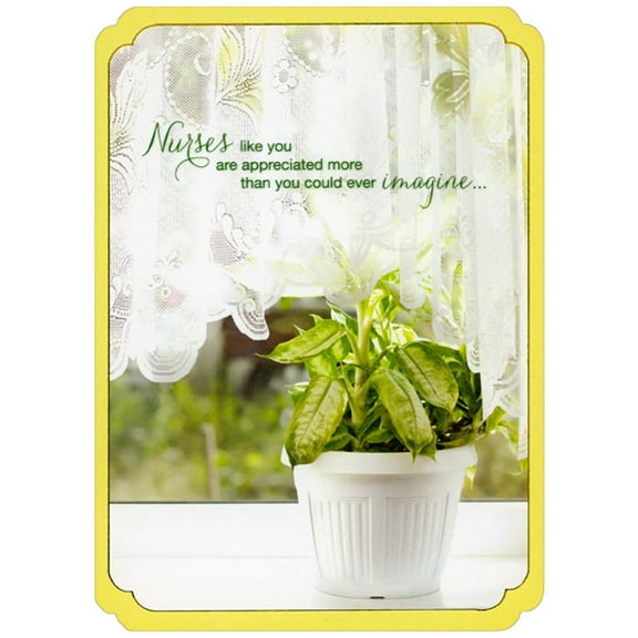 Designer Greetings Plant on Window Ledge Nurses Day Card