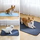 thumbnail image 5 of Almohadilla para orina de mascotas, almohadilla de entrenamiento para hámster y gato, almohadilla absorbente de agua lavable, 5 of 5