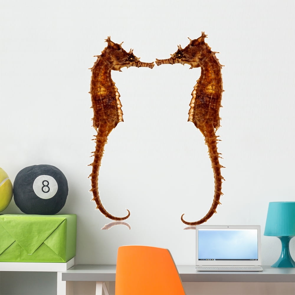 Seahorses Wall Decal Sticker by Wallmonkeys Vinyl Peel and Stick Graphic (36 in H x 25 in W