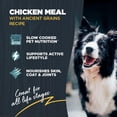 thumbnail image 3 of Blackwood Puppy & Performance Chicken Meal with Ancient Grains 24 lb, 3 of 8