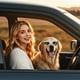 thumbnail image 2 of Gafas De Sol Para Perros Pequeños Con Correa Ajustable Gafas Ovaladas Antiniebla Para Mascotas Gafas De Sol Duraderas Para Perros, 2 of 4