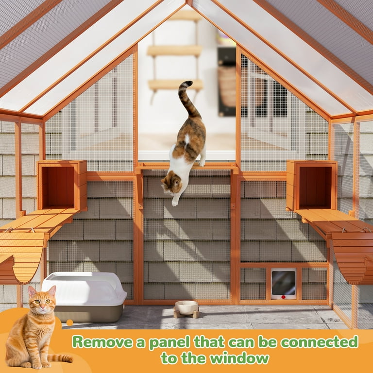 Cat House Can A Outdoor Cat Become An Indoor Cat Patio Cat Aviary