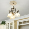 thumbnail image 2 of XIBUFE European Style Plastic Ceiling Medallion Round Base Decorative Light Elegant, 2 of 5