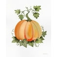 thumbnail image 2 of McKenna, Kathleen Parr 26x32 White Modern Wood Framed Museum Art Print Titled - Pumpkin and Vines II, 2 of 4