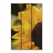 Day Dream HQ YS2836 28 x 36 in. Yellow Sunflower Inside & Outside Cedar Wall Art