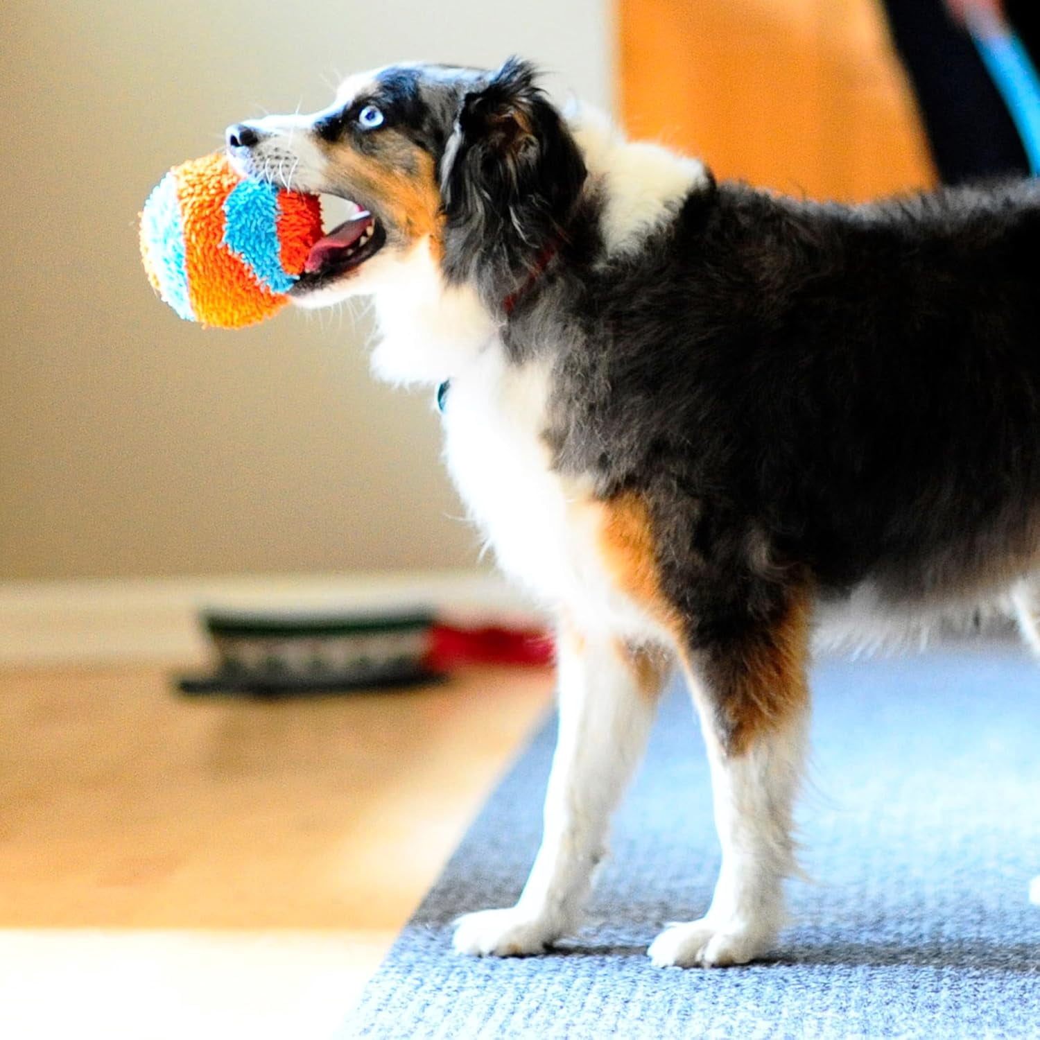 Chuckit! Indoor Ball Fetch Plush Ball Dog Toy