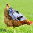 thumbnail image 4 of 4 Piezas Silla de Pollo Correas para Chaqueta de Pollo Delantal para Gallina Delantal para Pollo, 4 of 5