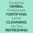 thumbnail image 4 of Plant Therapy Immune Aid Essential Oil Blend 10 mL (1/3 oz) 100% Pure, Undiluted, Natural Aromatherapy, 4 of 8