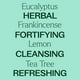 thumbnail image 4 of Plant Therapy Immune Aid Essential Oil Blend 10 mL (1/3 oz) 100% Pure, Pre-Diluted Roll On, Therapeutic Grade, 4 of 9
