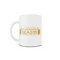 thumbnail image 3 of Fantastic Beasts: The Crimes of Grindelwald (Fantastic Book) 11 oz Ceramic Mug WMUG851, 3 of 4
