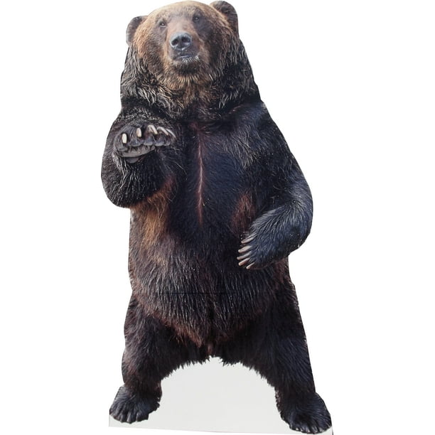 aahs!! Engraving Animal Life Size Cardboard Cutout Stand Up Standee