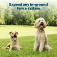thumbnail image 2 of PetSafe Fence Wire and Flag Kit, Expand Dog Fence, 50 Boundary Flags & 500 ft of Wire, 2 of 5