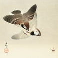 thumbnail image 2 of Koson, Ohara 15x15 White Modern Wood Framed Museum Art Print Titled - Ring sparrows and insect , 2 of 4