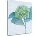 thumbnail image 2 of Tangletown Fine Art Blue Hydrangea II By Beth Grove,  Gallery Wrap Canvas, 2 of 2