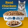 thumbnail image 3 of Blue Buffalo Tastefuls Chicken Irresistible Gravy Experience Dry Food for Cats, 10-lb. Bag, 3 of 12