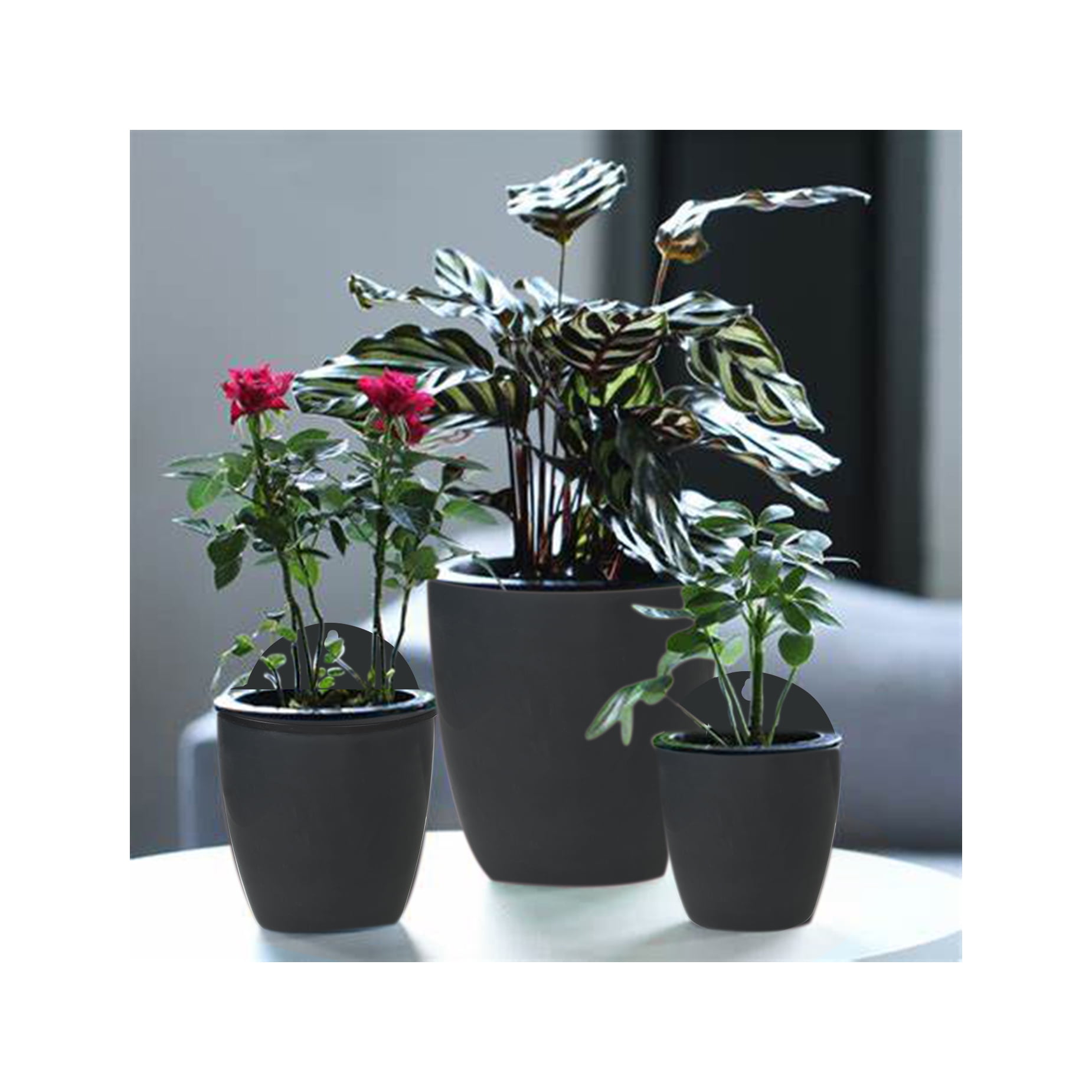 waltyotur 7Pack Self-watering Plant Flower Pot Wall Hanging Plastic Planters with Hooks
