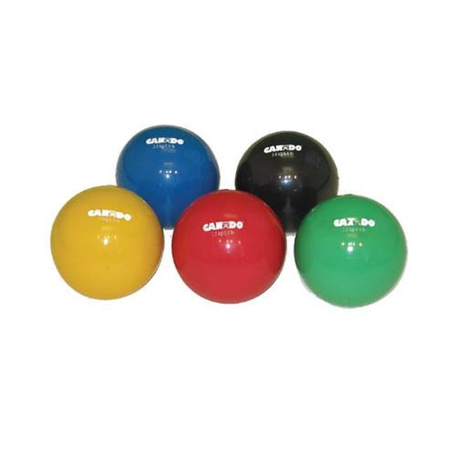 Hand Weighted Ball 2.5 kg / 5.5 lbs Blue 103164