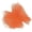 Orange, variant on Orange Tulle Ribbon