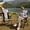 Black & Gray, variant on WTVIDAS Double Beach Chair with Canopy Shade Oversized Camping Chairs with Cup Holder Cooler Bag Folding Loveseat Chairs for Camping Beach Lawn