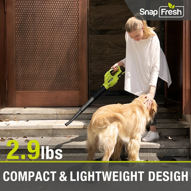 Snapfresh cordless deals leaf blower