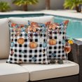 thumbnail image 2 of Outdoor Pillow Covers 20x20 Set of 2, Orange Blue Pumpkins Fall Waterproof Patio Throw Pillow Covers for Couch Sofa Chair, Weeping Botanical Thanksgiving Plaid Pillowcases for Throw Pillows, 2 of 9