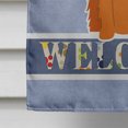 thumbnail image 4 of Carolines Treasures BB5645CHF Irish Setter Welcome Flag Canvas House Size, 4 of 4