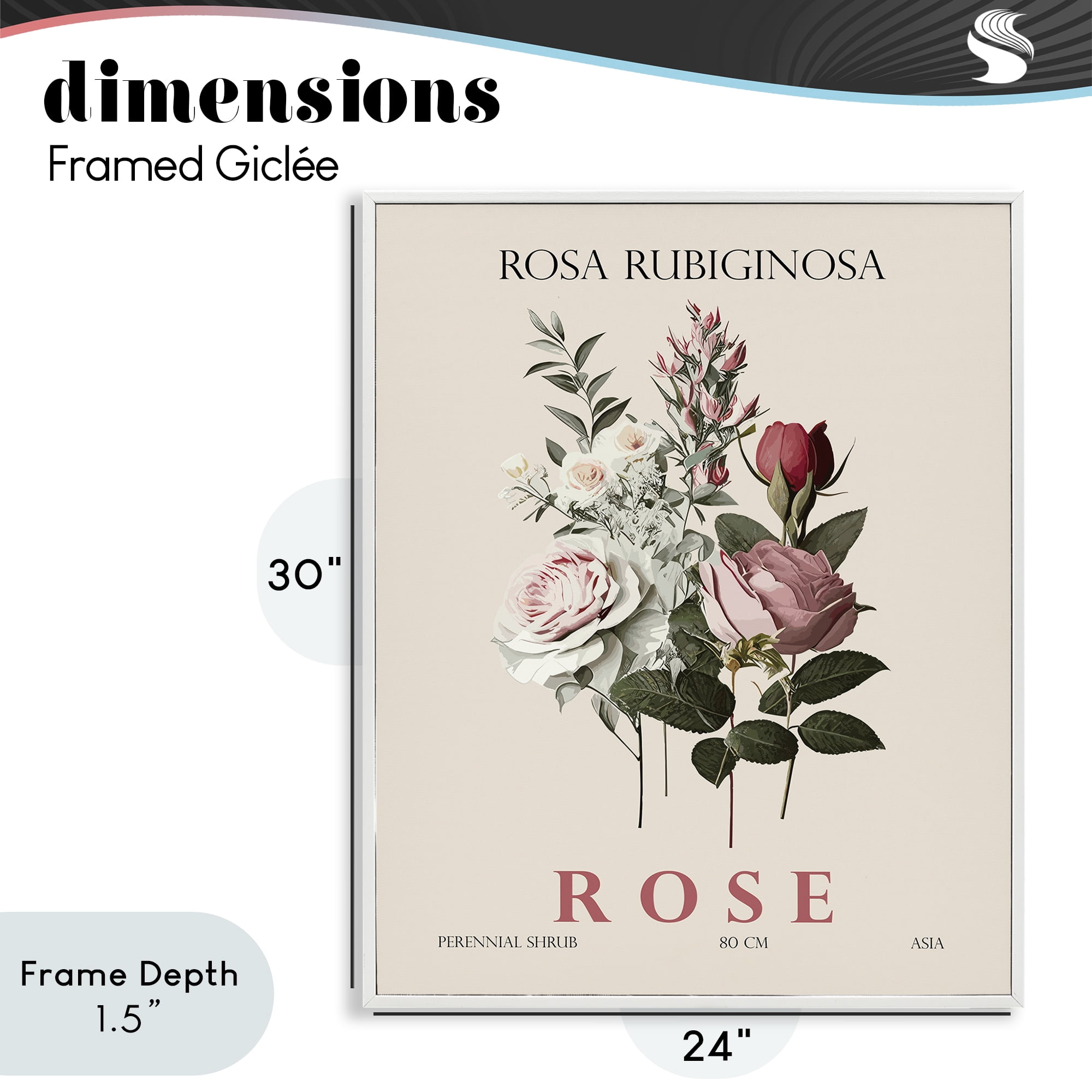 Stupell Industries Natural Rose Bundle White Framed Giclee Art, design by Christopher Giampietro