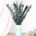 thumbnail image 7 of GoXteam 20pcs Blue Dried Eucalyptus Stems, Natural Eucalyptus Branches for Shower Hanging, 17" Preserved Plants Steam Shower for Women and Men, Relaxation Set, Mother's Day, 7 of 7