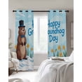 thumbnail image 3 of Happy Groundhog Day Blackout Curtains, Light Blocking Print Window Curtains, Cartoon Cute Ground Hog Flowers Sky Blue Thermal Insulated Window Drapes for Living Room 2 Panels, 104"W x 84"L, 3 of 9