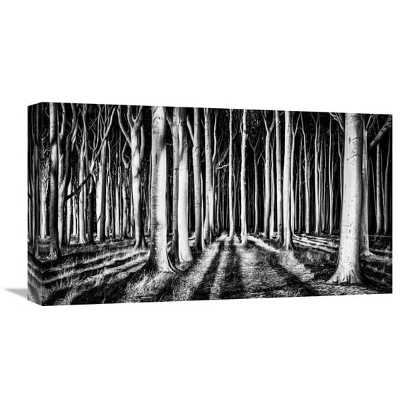 Global Gallery Pixxelpark 'Ghost Forest' Canvas Wall Art